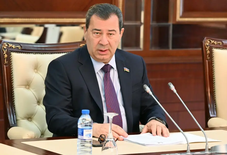 Dünya parlamentlərində Azərbaycana qarşı qaldırılan iddialar rədd edilir - Səməd Seyidov