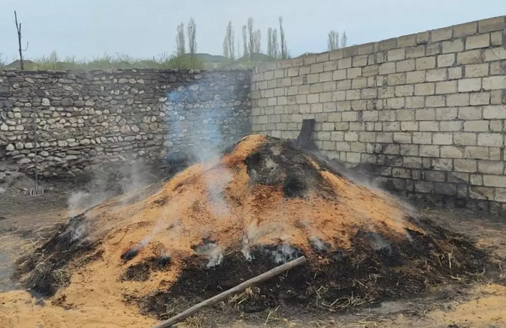 İsmayıllı, Qax və Ağstafada qanunsuz kömür quyuları aşkarlanıb
