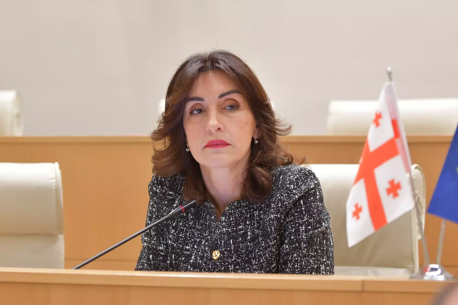 Gürcüstanın xarici işlər naziri sabah Türkiyəyə gedəcək