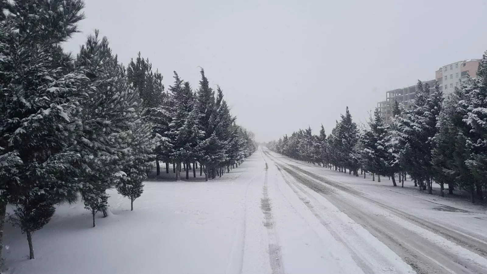 DİN: Hava şəraiti ilə əlaqədar polis əməkdaşları zəruri təhlükəsizlik tədbirləri görürlər