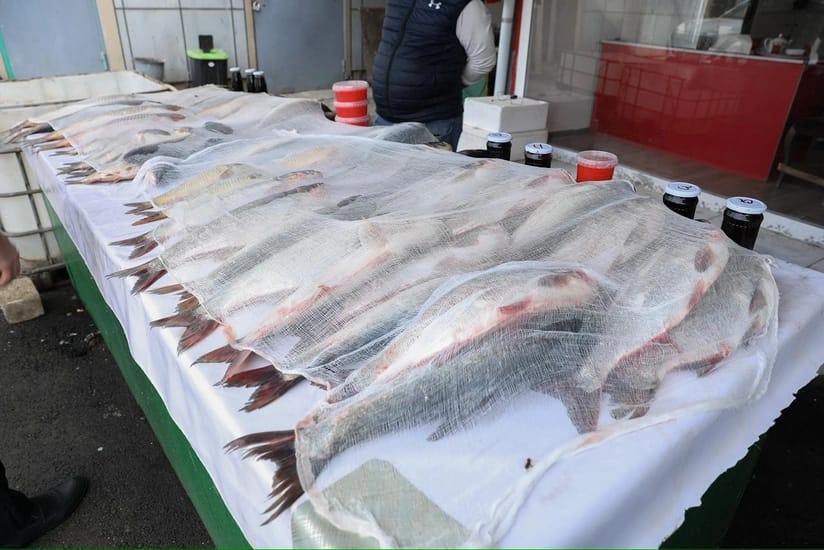 AQTA "Kəndli" bazarında nöqsanlar aşkarladı