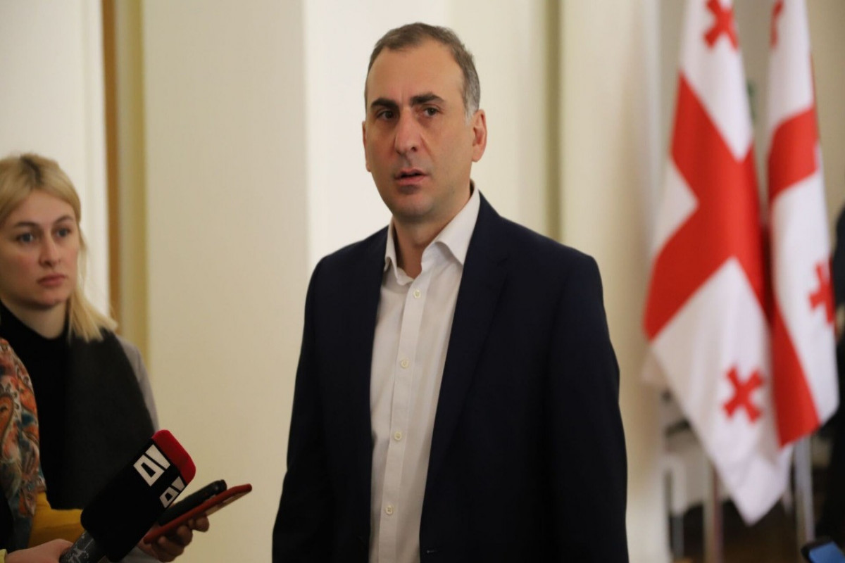 Gürcüstanın müxalifət lideri terrorçuluqda ittiham edilib