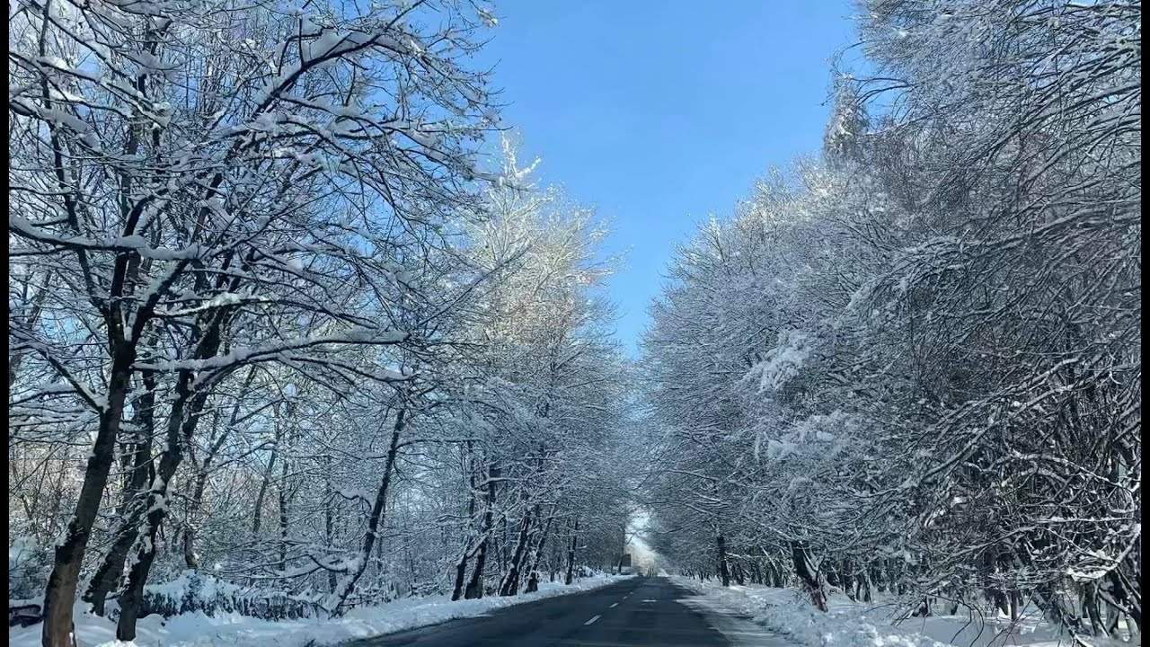 Zaqatalaya qar yağır - FAKTİKİ HAVA