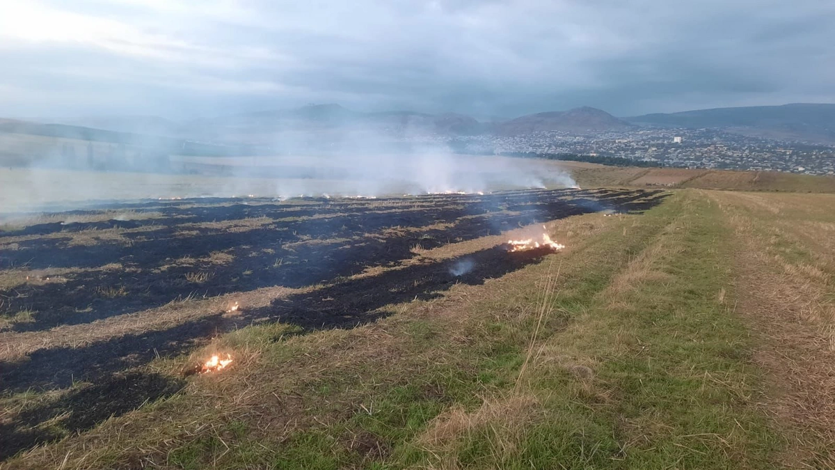 Əkin yerinin yandırılmasına görə yeni cərimələr, inzibati həbs müəyyənləşir