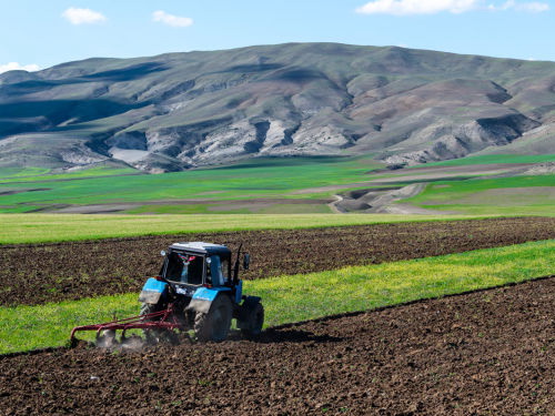 Aqrar təyinatlı torpaqlarda müvəqqəti tikililər barədə məlumatlandırma qaydaları təsdiqlənib