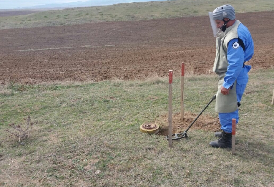Azad edilmiş ərazilərdə daha 339 mina aşkarlanıb