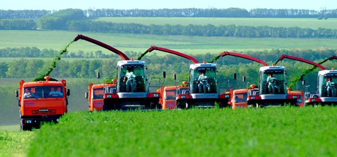 Azərbaycanda aqrar sektor 1 % böyüyüb