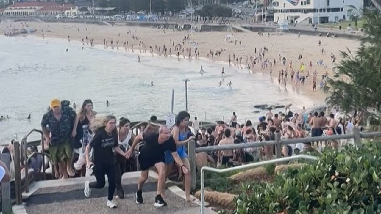 Avstraliyada çimərlikdə baş verən atışma nəticəsində ölənlərin sayı 16-ya çatıb