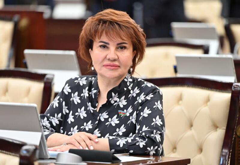 “Konstitusiya və Suverenlik İli” çərçivəsində Amnistiya aktı xalqa böyük hədiyyədir – Deputat 
