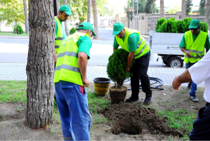 Qubada abadlıq işlərinə 1,9 milyon manat xərclənəcək