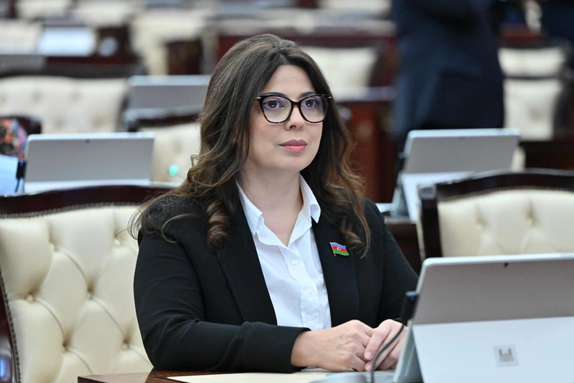 Avropa Parlamentinin “sənədi” real vəziyyətin təhlilinə deyil, əsassız ittihamlara söykənir - RƏY