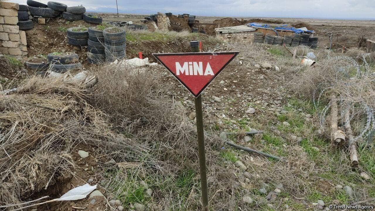 Ötən həftə min hektardan çox ərazi minalardan təmizlənib