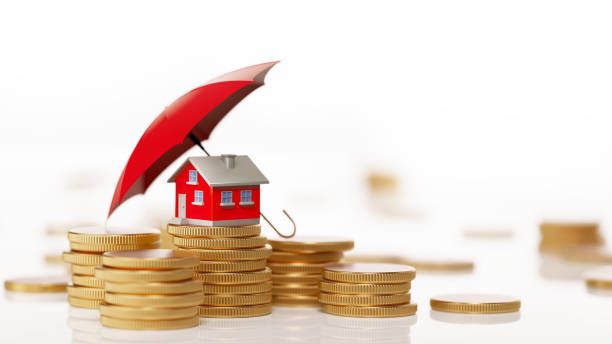 Azərbaycanda icbari sığorta bazarı 7 % böyüyüb