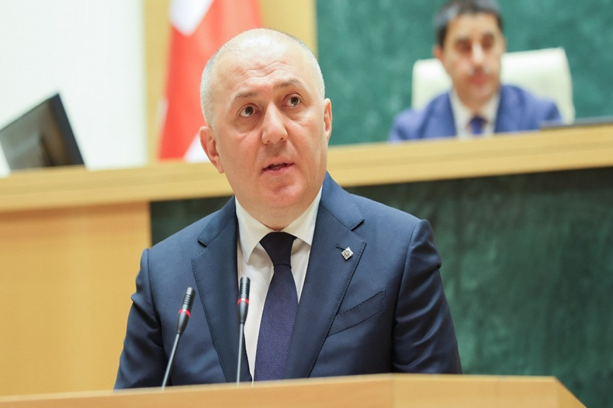 Gürcüstan DTX-nın keçmiş rəhbəri barəsində həbs qətimkan tədbiri seçildi
