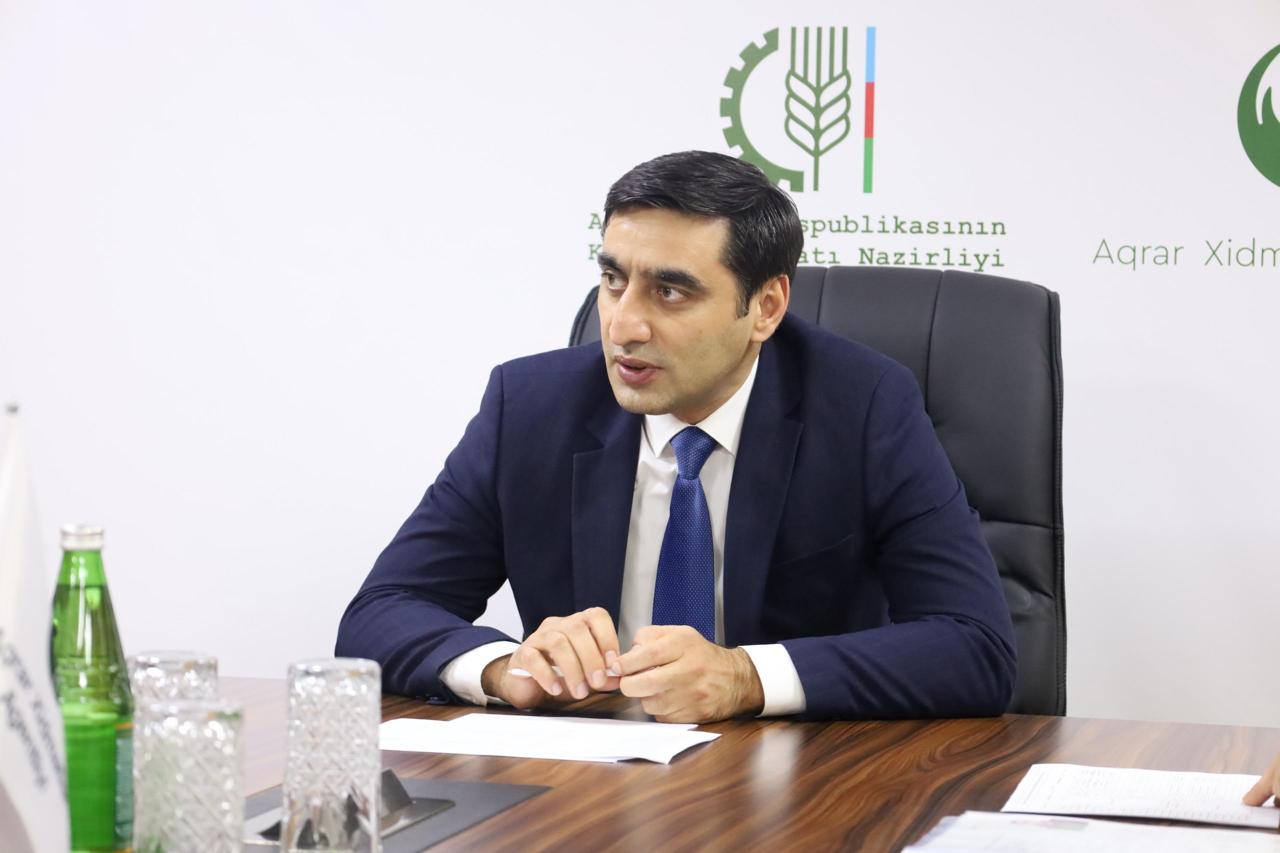 Regionlarda baytarlıq xəstəxanaları açılacaq, səyyar klinikalar fəaliyyət göstərəcək