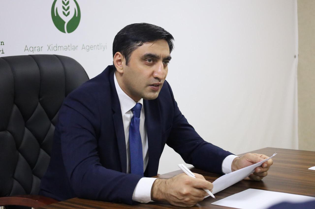 Azərbaycanda heyvanlara göstərilən baytarlıq xidmətləri elektronlaşdırılacaq