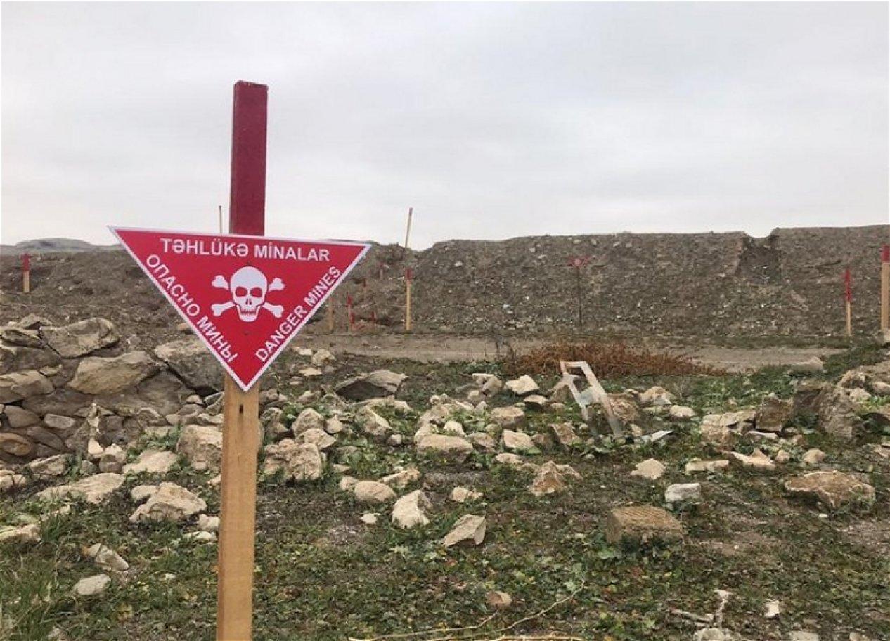 ANAMA 3 şirkətlə nəhəng müqavilə bağlayıb