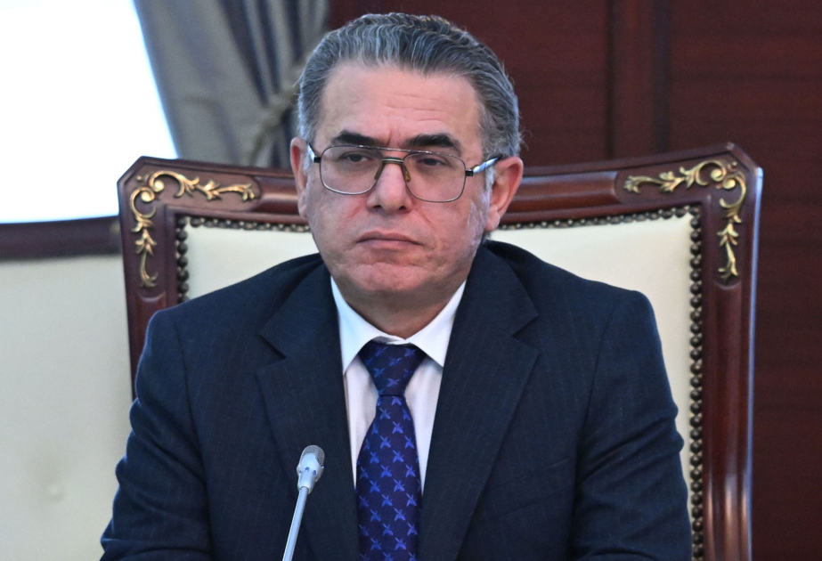 Natiq Məmmədli: Onlayn mediada Azərbaycan dili ilə bağlı problemlər var