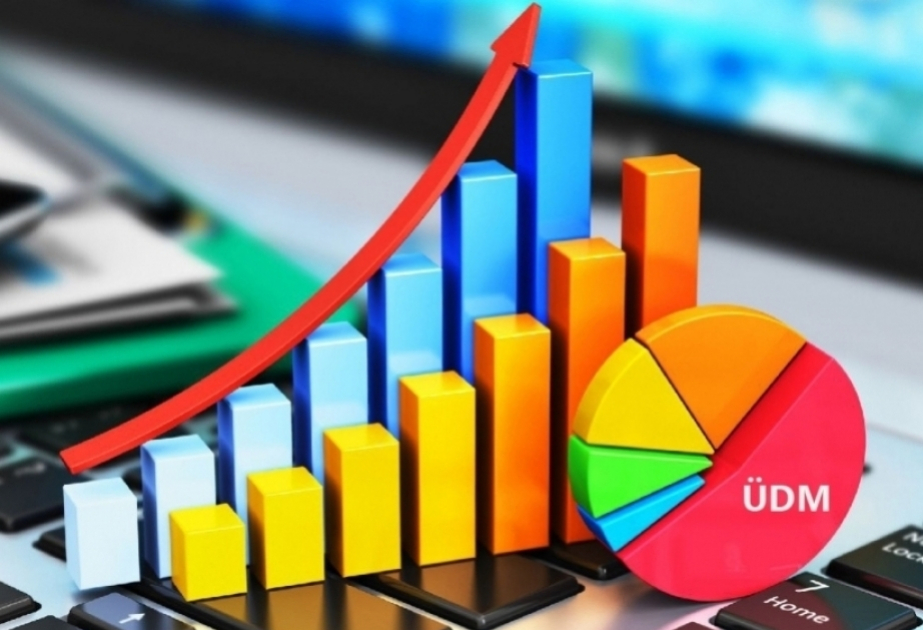 Naxçıvan iqtisadiyyatı 4%-ə yaxın artıb