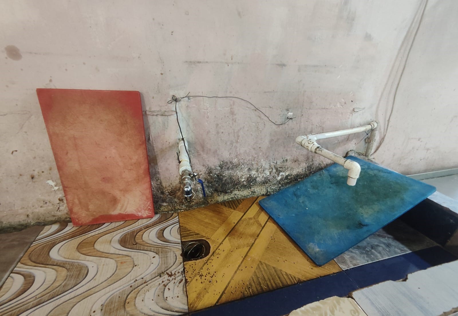 “Dağlılar Balıq” restoranında nöqsanlar aşkarlanıb - FOTO - Foto 4