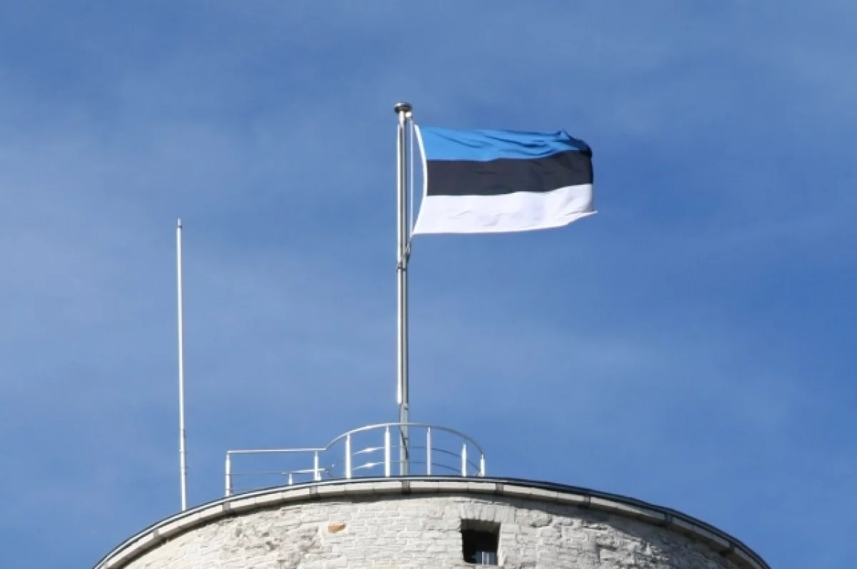 Estoniya bu dildə danışmayanların hərbi xidmət müddətini artıra bilər