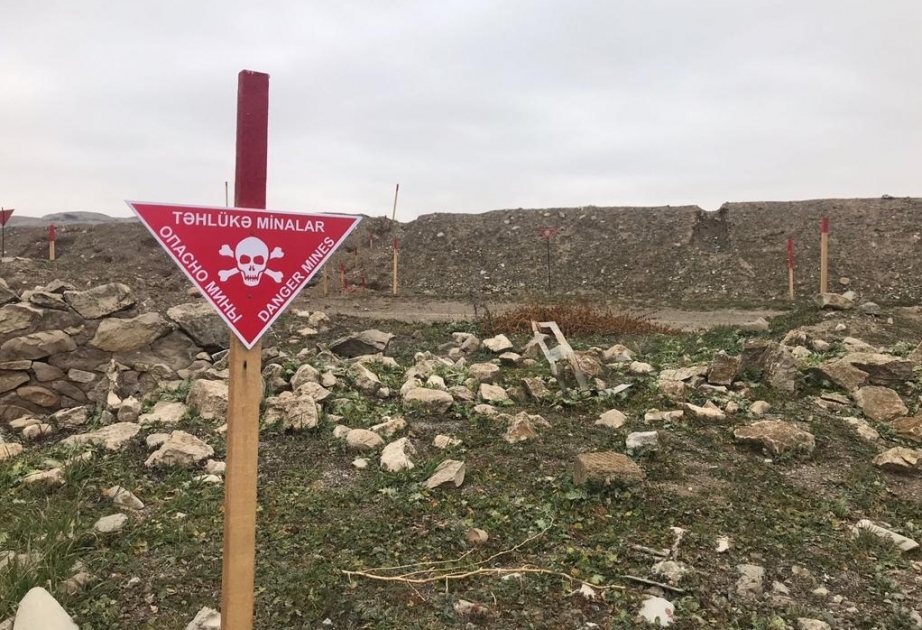 Ötən həftə 508 hektardan çox ərazi minalardan təmizlənib