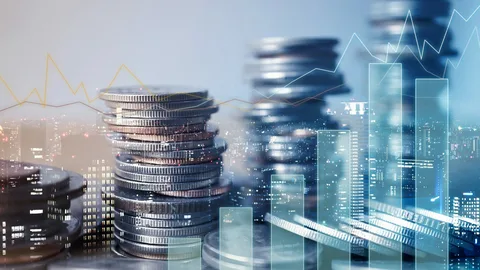 Azərbaycan iqtisadiyyatına xarici investisiya qoyuluşu 28% artıb
