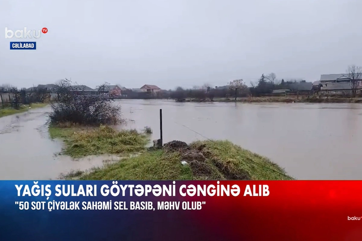 Cəlilabadda əkin sahələri su altında qalıb - VİDEO