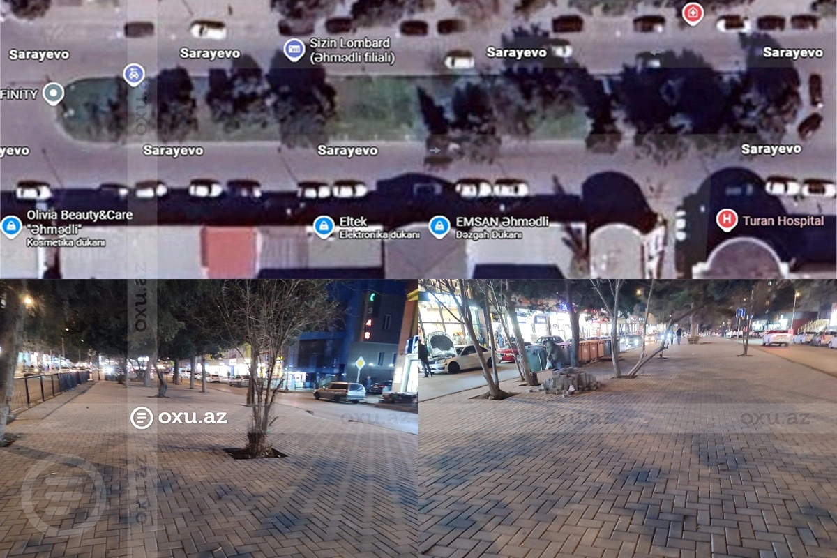Əhmədlidə üç il əvvəl tikintiyə icazə verilməyən ərazidə ağaclar qırıldı, yerinə daş döşəndi - FOTO