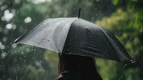 Bakıya yağış, rayonlara qar yağacaq - PROQNOZ