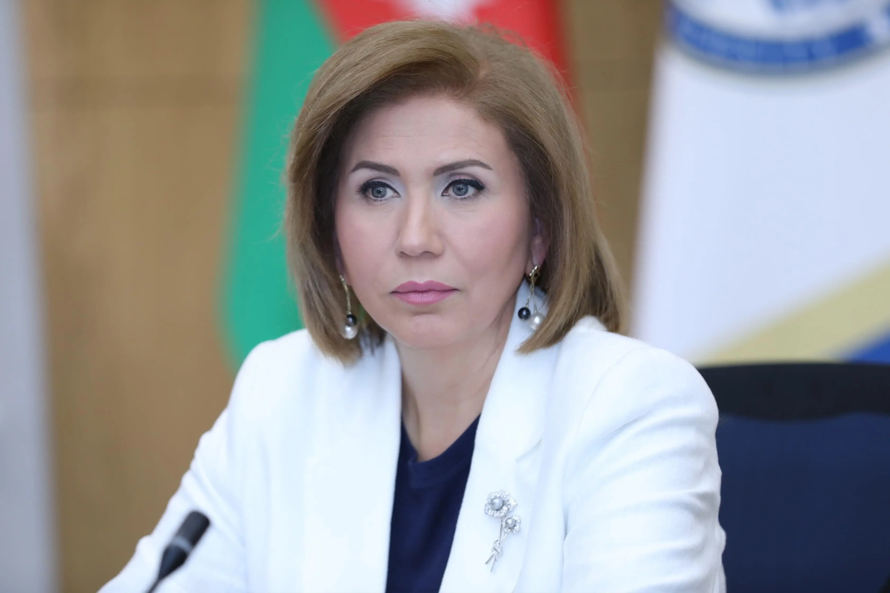 Dövlət komitəsi yeni qanun layihəsinin mahiyyətini açıqladı 