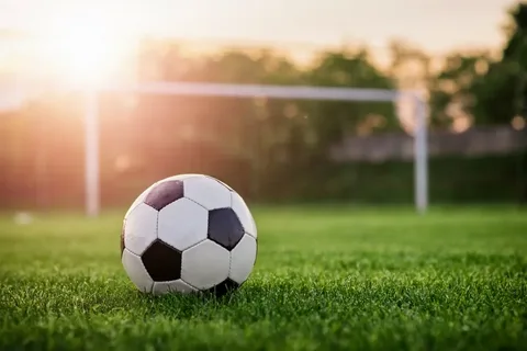 "Qarabağ" 2500, "Neftçi" 2000 manat cərimələnib