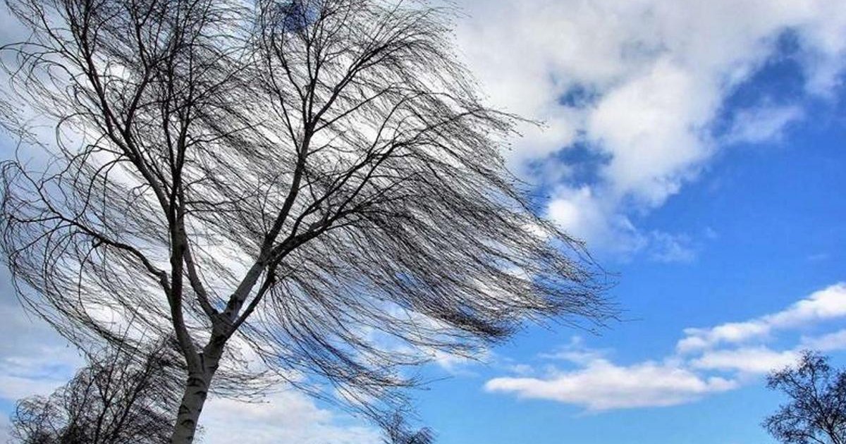 Küləkli hava şəraiti ilə bağlı sarı xəbərdarlıq verilib