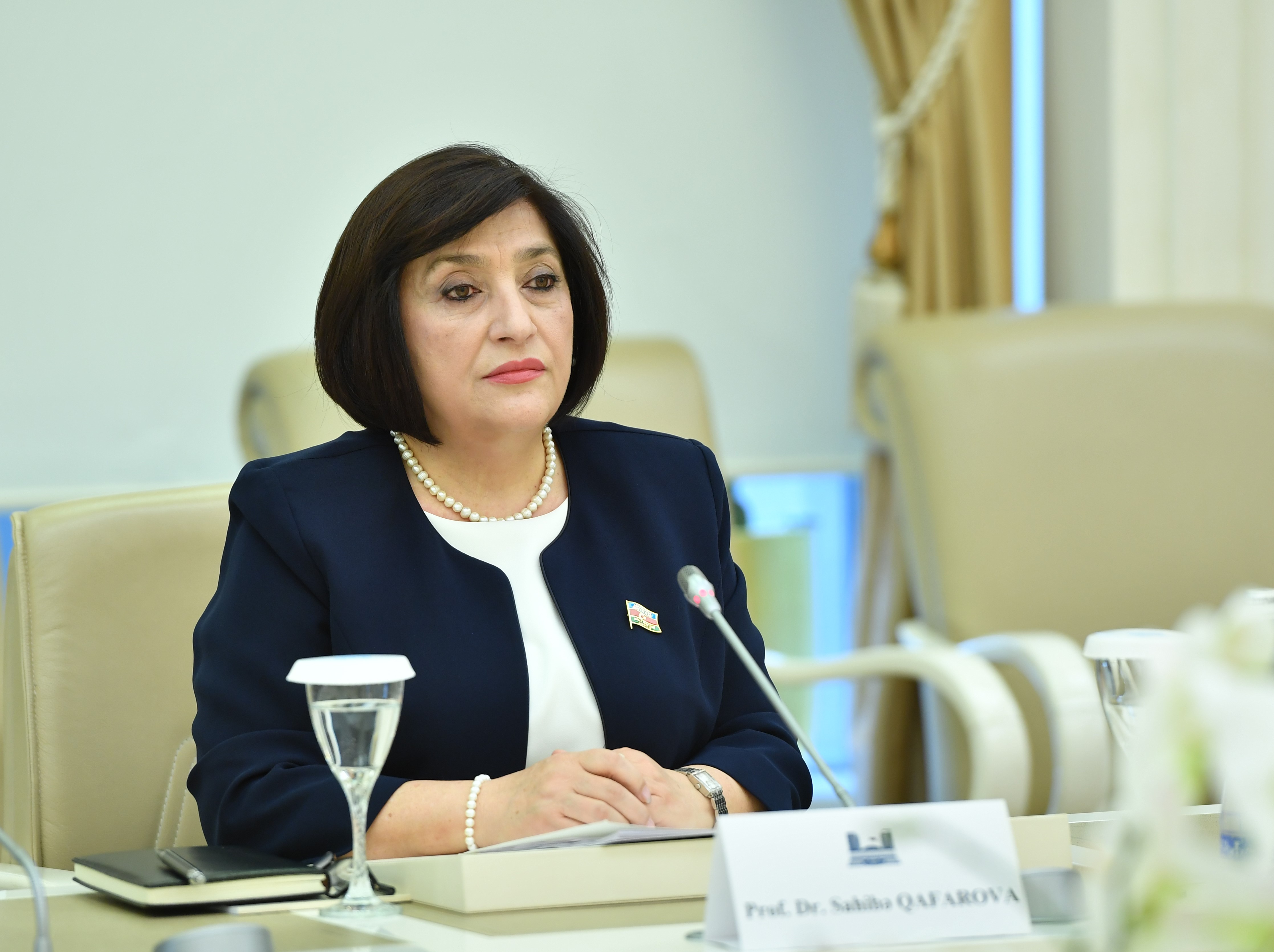 Milli Məclis ötən ili uğurla başa vurub – Sahibə Qafarova 