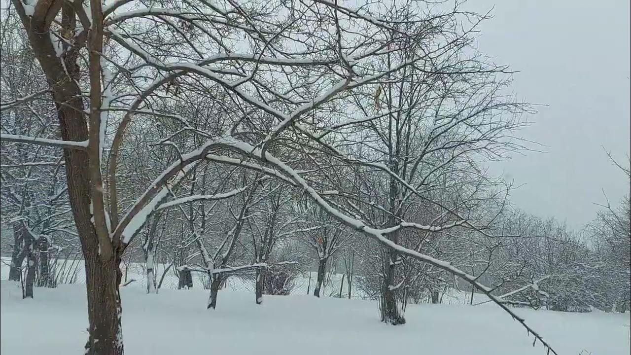 Bu rayonlara qar yağır