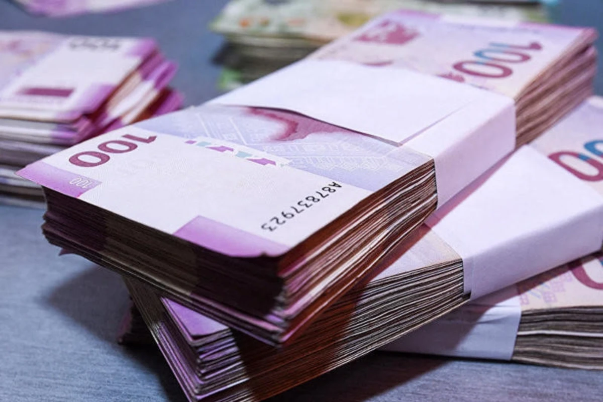 Kənd təsərrüfatı sektoru üzrə biznes kredit portfeli böyüyüb