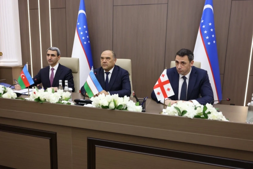 Gürcüstan "Avrasiya Nəqliyyat Marşrutu" Beynəlxalq Assosiasiyasına üzv olub