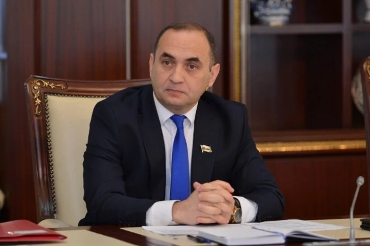 Azərbaycan Serbiyaya böyük həcmdə sərmayə qoymağa hazırdır - RƏY