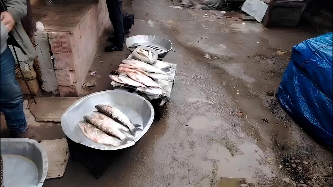 Neftçala ərzaq bazarında nöqsanlar aşkarlanıb - FOTO/VİDEO - Foto 4