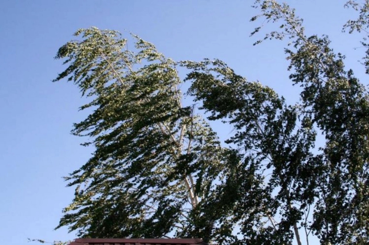 FHN gözlənilən hava şəraiti ilə əlaqədar əhaliyə müraciət edib