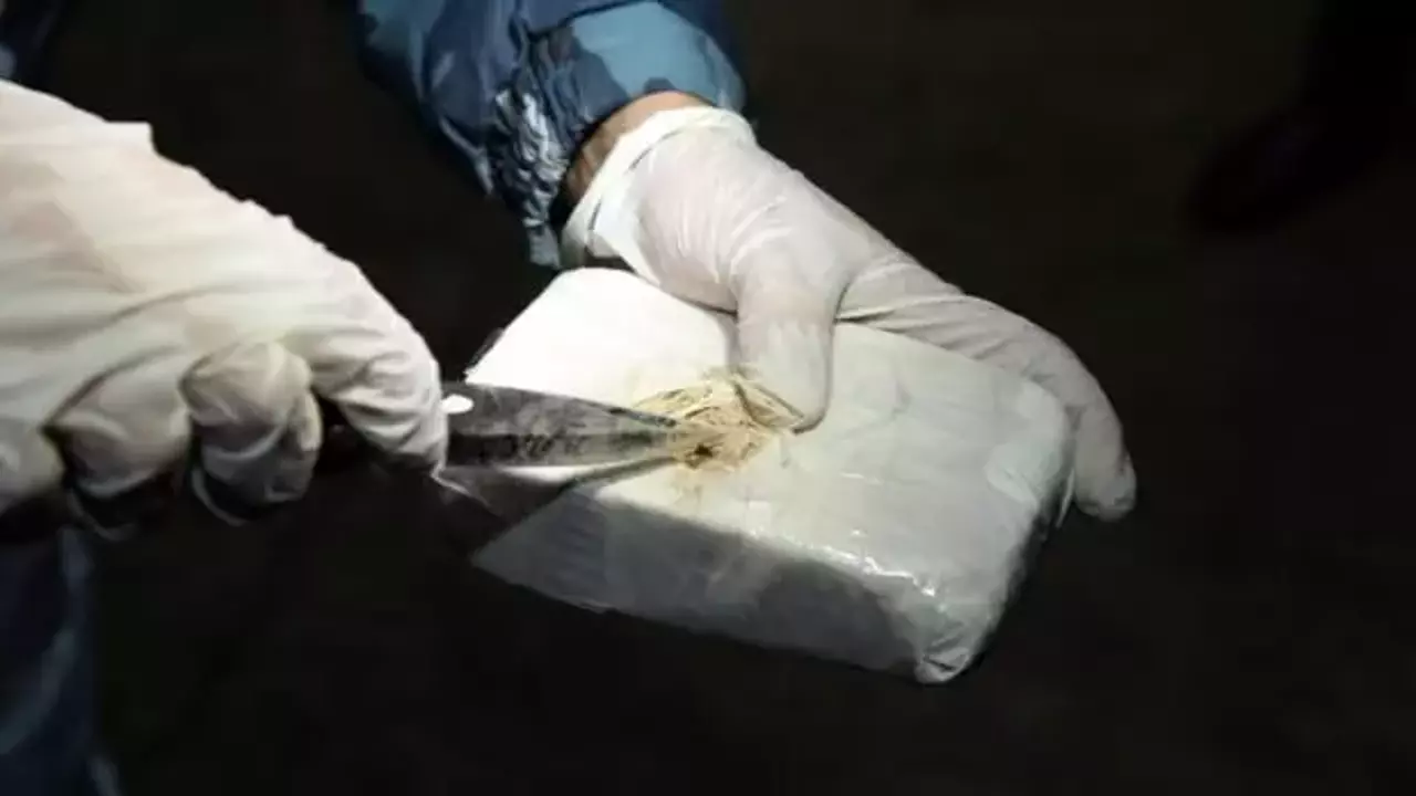Ötən gün narkotiklərlə bağlı 40-a yaxın fakt müəyyən edilib