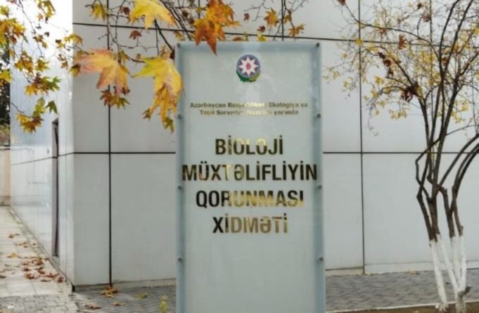 Dövlət Xidməti işçilərin geyim xərcini azaldıb