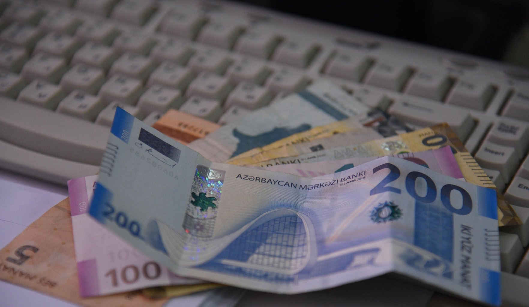 Kənd təsərrüfatı sektoru üzrə biznes kredit portfeli böyüyüb