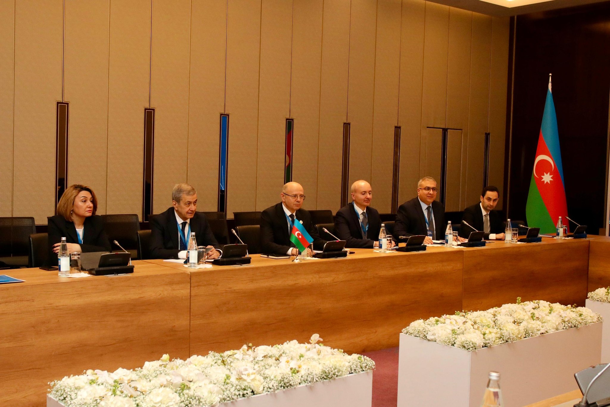Azərbaycanla Avstriya arasında energetika sahəsində əməkdaşlıq müzakirə edilib