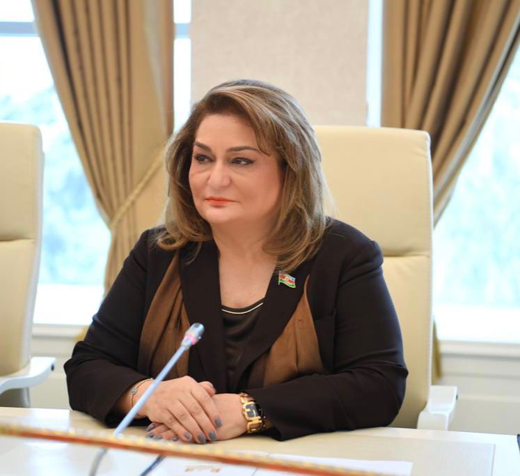 Kişilər də uşaqlara görə güzəştli şərtlərlə yaşa görə əmək pensiyası hüququna malikdirlər – Komitə sədri