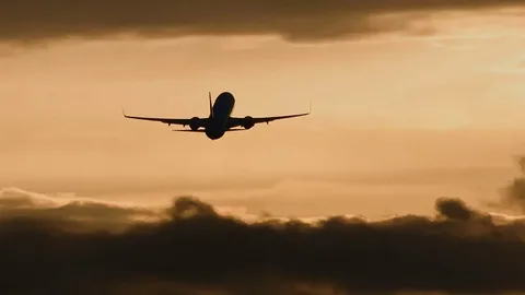 Flynas Hava Yollarının uçuşları planlaşdırılmış qrafik üzrə davam edir - FOTO