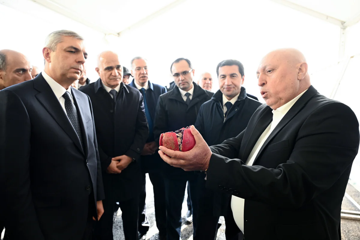 Xocavənd rayonunda bağçılıq təsərrüfatına baxış keçirilib - FOTO - Foto 3