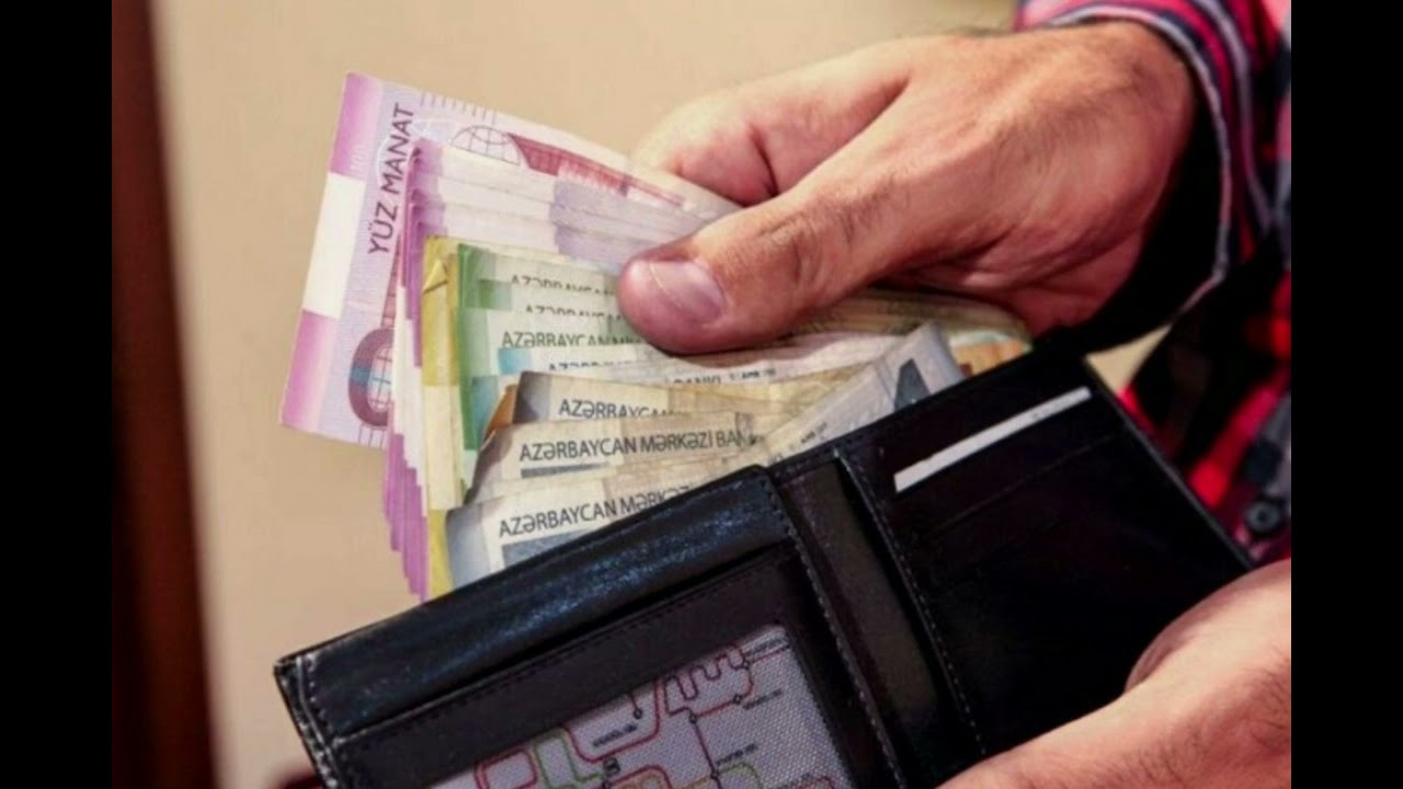 Professor: Yeni əməkhaqqı sistemi şəffaflıq və səmərəliliyin təminatçısıdır