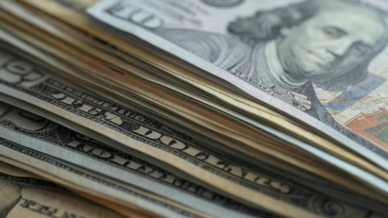 Azərbaycan Almaniya iqtisadiyyatına nə qədər investisiya qoyub?