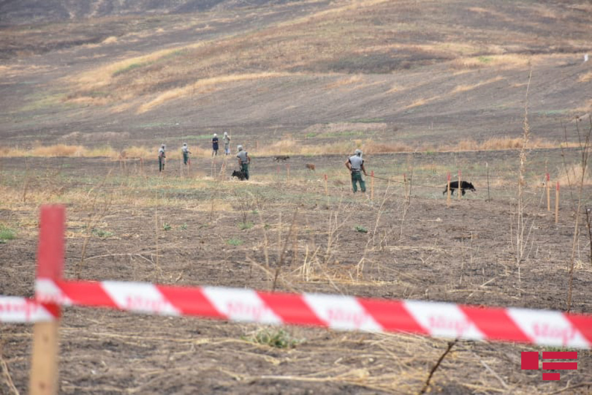 Minatəmizləmə zamanı həlak olanların övladlarının təhsil haqqı dövlət büdcəsindən ödəniləcək